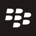 The BlackBerry Research and Intelligence Team
